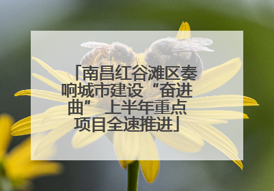 南昌红谷滩区奏响城市建设“奋进曲” 上半年重点项目全速推进