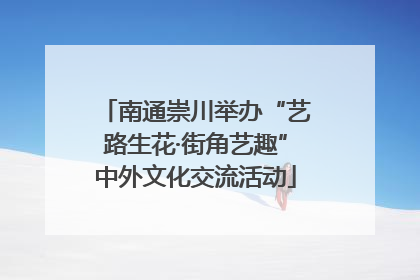 南通崇川举办“艺路生花·街角艺趣”中外文化交流活动