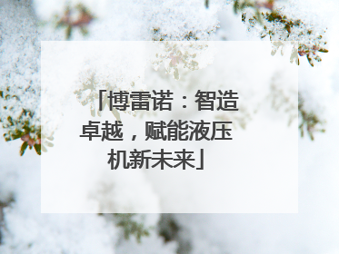 博雷诺：智造卓越，赋能液压机新未来
