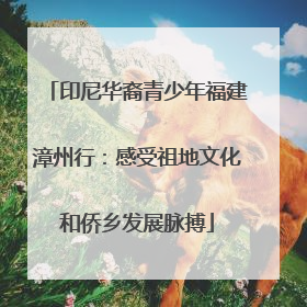 印尼华裔青少年福建漳州行：感受祖地文化和侨乡发展脉搏