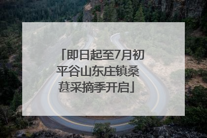 即日起至7月初 平谷山东庄镇桑葚采摘季开启