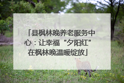 县枫林晚养老服务中心：让幸福“夕阳红”在枫林晚温暖绽放