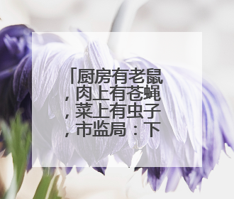 厨房有老鼠，肉上有苍蝇，菜上有虫子，市监局：下架！