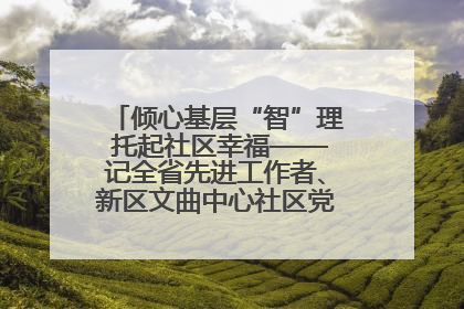倾心基层“智”理 托起社区幸福——记全省先进工作者、新区文曲中心社区党委书记董世弘