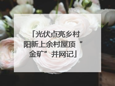 光伏点亮乡村 阳新上余村屋顶“金矿”并网记