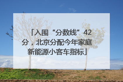 入围“分数线”42分，北京分配今年家庭新能源小客车指标