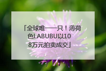 全球唯一一只！薄荷色LABUBU以108万元拍卖成交