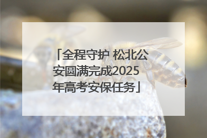 全程守护 松北公安圆满完成2025年高考安保任务