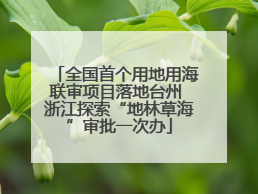 全国首个用地用海联审项目落地台州 浙江探索“地林草海”审批一次办