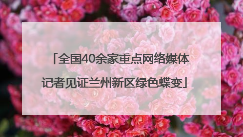 全国40余家重点网络媒体记者见证兰州新区绿色蝶变