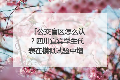 公交盲区怎么认？四川宜宾学生代表在模拟试验中增强乘车安全意识