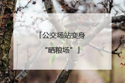 公交场站变身“晒粮场”