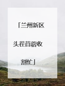 兰州新区头茬苜蓿收割忙