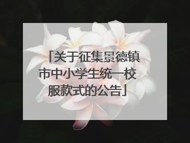 关于征集景德镇市中小学生统一校服款式的公告