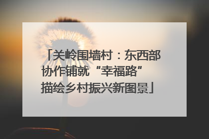 关岭围墙村：东西部协作铺就“幸福路” 描绘乡村振兴新图景