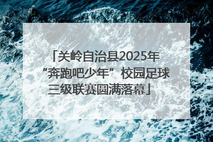 关岭自治县2025年“奔跑吧少年”校园足球三级联赛圆满落幕