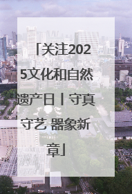 关注2025文化和自然遗产日丨守真守艺 器象新章