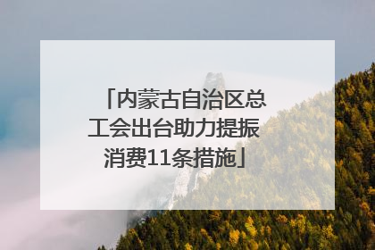 内蒙古自治区总工会出台助力提振消费11条措施