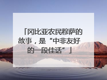 冈比亚农民穆萨的故事，是“中非友好的一段佳话”