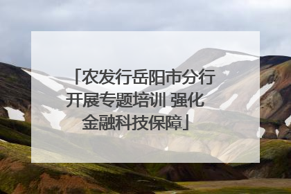农发行岳阳市分行开展专题培训 强化金融科技保障