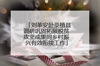 刘革安赴桑植县调研巩固拓展脱贫攻坚成果同乡村振兴有效衔接工作