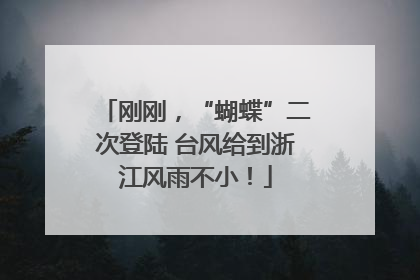 刚刚，“蝴蝶”二次登陆 台风给到浙江风雨不小！