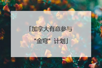 加拿大有意参与“金穹”计划