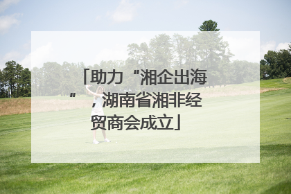 助力“湘企出海”，湖南省湘非经贸商会成立