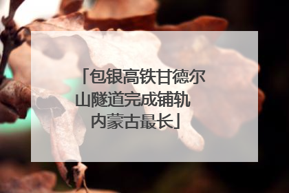包银高铁甘德尔山隧道完成铺轨 内蒙古最长