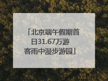北京端午假期首日31.67万游客雨中漫步游园