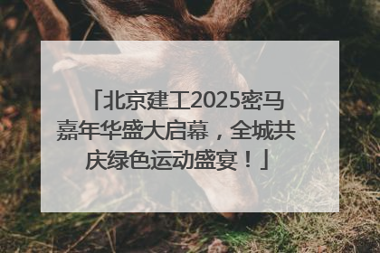 北京建工2025密马嘉年华盛大启幕，全城共庆绿色运动盛宴！