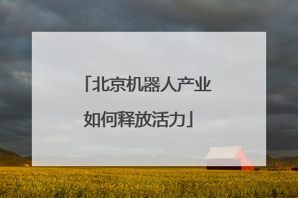 北京机器人产业如何释放活力