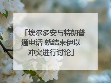 埃尔多安与特朗普通电话 就结束伊以冲突进行讨论