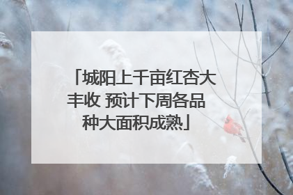 城阳上千亩红杏大丰收 预计下周各品种大面积成熟