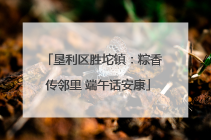 垦利区胜坨镇：粽香传邻里 端午话安康