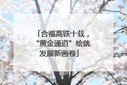合福高铁十载，“黄金通道”绘就发展新画卷