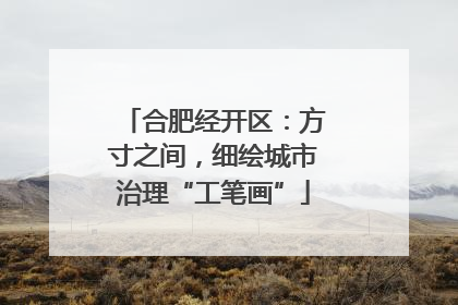 合肥经开区：方寸之间，细绘城市治理“工笔画”