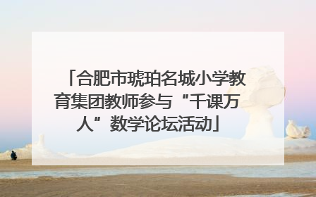 合肥市琥珀名城小学教育集团教师参与“千课万人”数学论坛活动