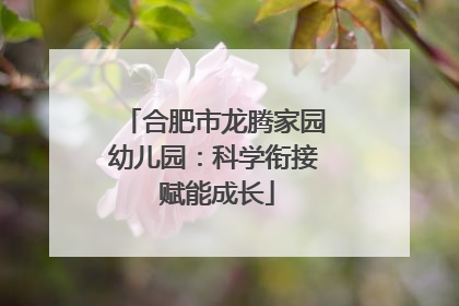 合肥市龙腾家园幼儿园：科学衔接 赋能成长