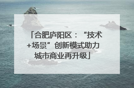 合肥庐阳区：“技术+场景”创新模式助力城市商业再升级