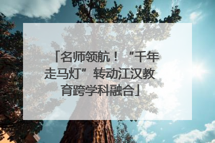 名师领航！“千年走马灯”转动江汉教育跨学科融合