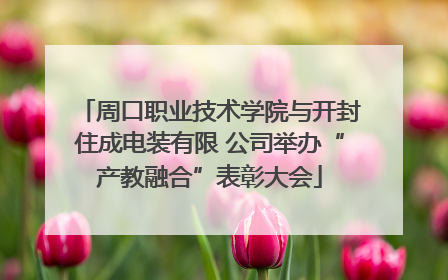 周口职业技术学院与开封住成电装有限 公司举办“产教融合”表彰大会