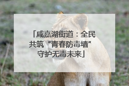 咸嘉湖街道：全民共筑“青春防毒墙” 守护无毒未来