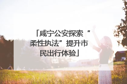 咸宁公安探索“柔性执法”提升市民出行体验