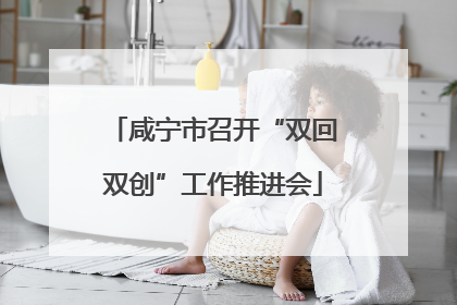 咸宁市召开“双回双创”工作推进会