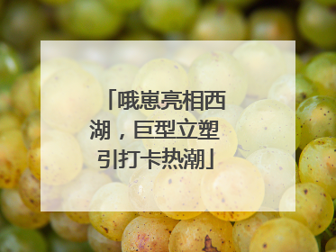 哦崽亮相西湖，巨型立塑引打卡热潮