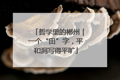 哲学里的郴州｜一个“田”字，平和洞写得平旷