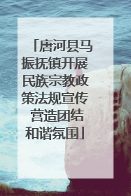 唐河县马振抚镇开展民族宗教政策法规宣传 营造团结和谐氛围