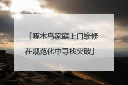 啄木鸟家庭上门维修在规范化中寻找突破