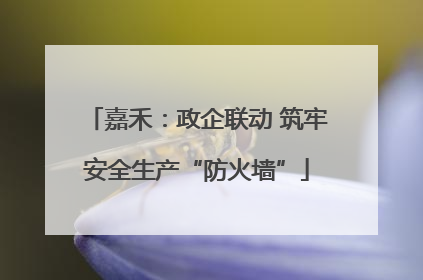 嘉禾：政企联动 筑牢安全生产“防火墙”
